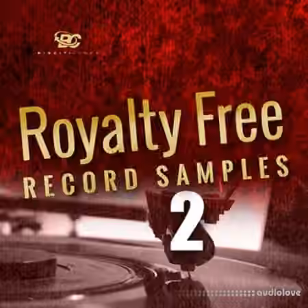 Big Citi Loops Royalty-Free Record Samples Part 2 [WAV]