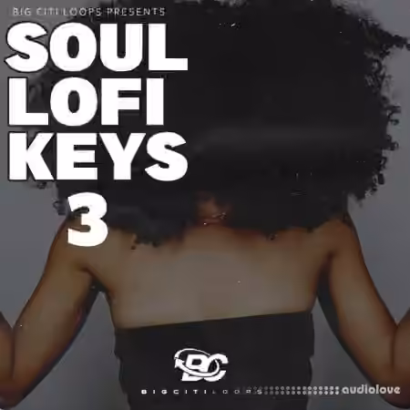 Big Citi Loops Soul Lofi Keys 3 [WAV]