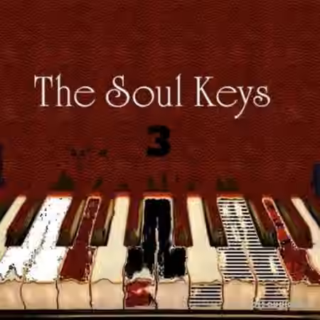 Big Citi Loops The Soul Keys 3 [WAV]
