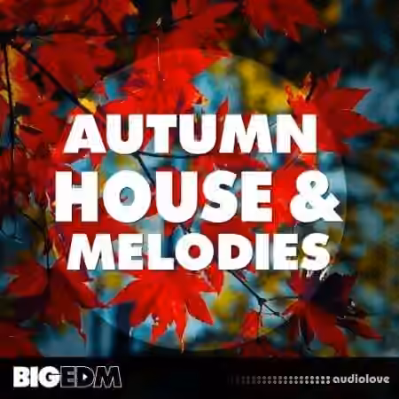 Big EDM Autumn House and Melodies [WAV, MiDi, Synth Presets]