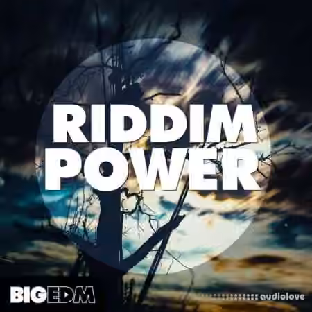 Big EDM Riddim Power [WAV, MiDi, Synth Presets]