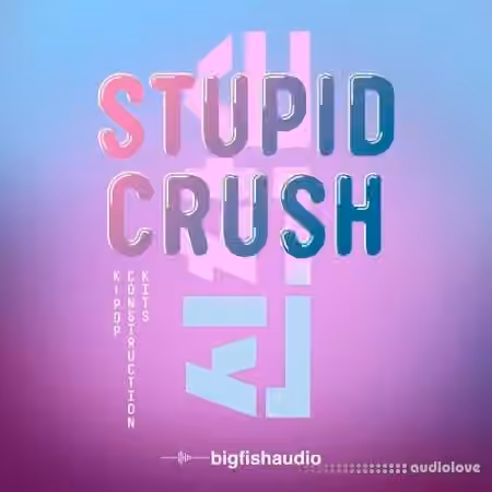Big Fish Audio Stupid Crush K-Pop [WAV]