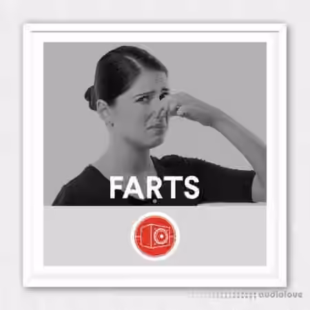 Big Room Sound Farts [WAV]