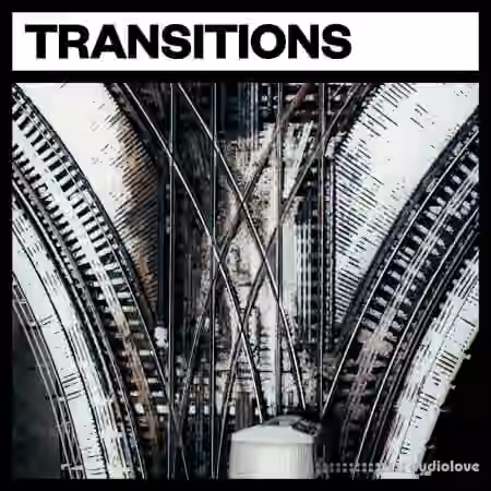 Big Room Sound Transitions [WAV]