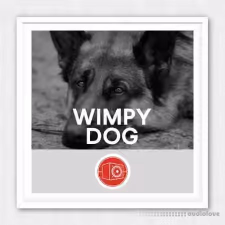 Big Room Sound Wimpy Dog [WAV]