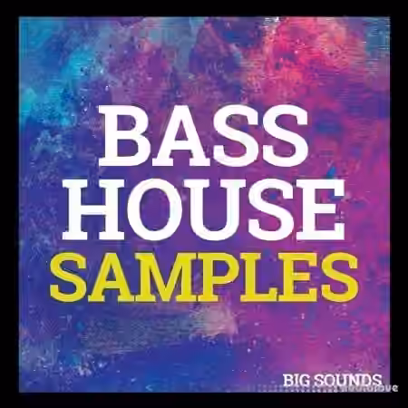 Big Sounds Bass House Samples [WAV, MiDi, Synth Presets]