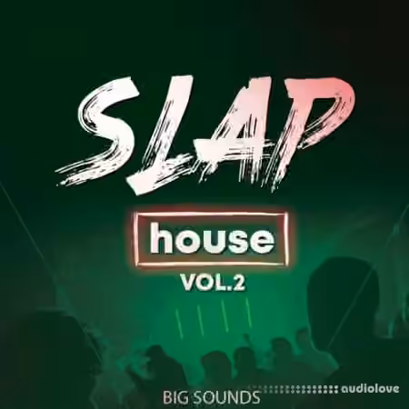 Big Sounds Slap House Volume 2 [WAV, MiDi, Synth Presets]