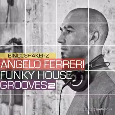 Bingoshakerz Angelo Ferreri Funky House Grooves 2 [WAV]