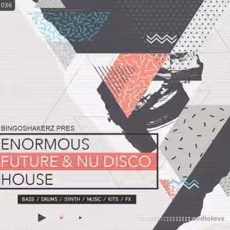 Bingoshakerz Enormous Future And Nu Disco House [WAV]