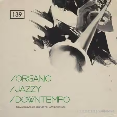 Bingoshakerz Organic Jazzy Downtempo (PROPER) [WAV, MiDi, REX]