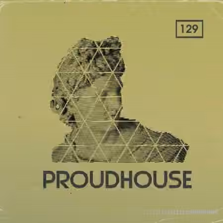Bingoshakerz Proud House [WAV, MiDi, REX]