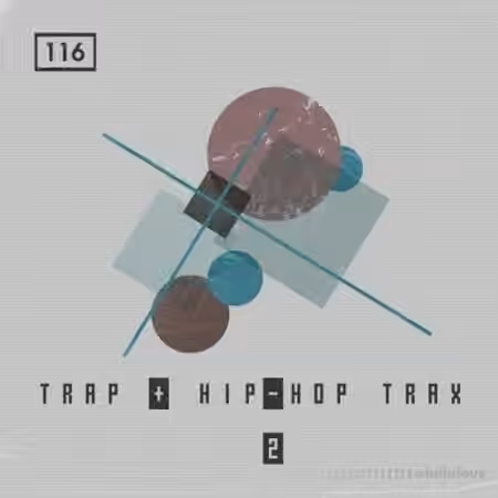 Bingoshakerz Trap and Hip-Hop Trax 2 [WAV, MiDi]