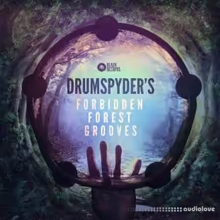 Black Octopus Drumspyder's Forbidden Forest Grooves [WAV]