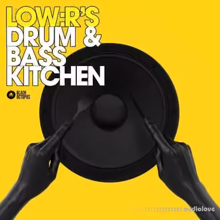 Black Octopus LOW:Rs Drum And Bass Kitchen [WAV, Synth Presets]
