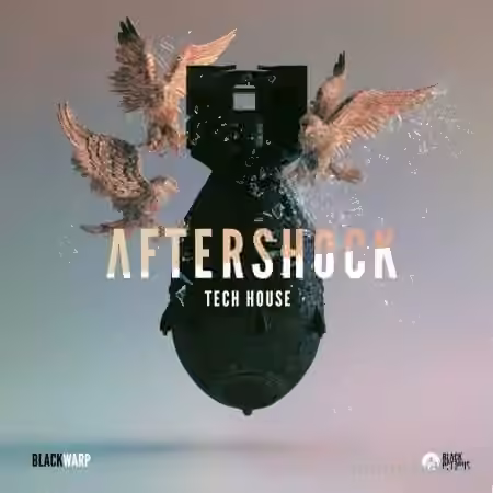 Black Octopus Sound Aftershock Tech House by Blackwarp [WAV, Synth Presets]