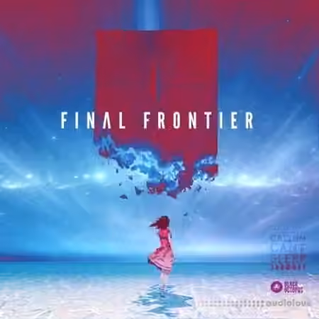 Black Octopus Sound CallumCantSleep Final Frontier [WAV, Synth Presets]