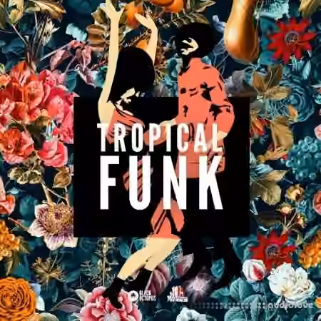 Black Octopus Sound Tropical Funk by Basement Freaks [WAV]