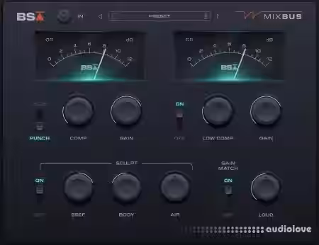 Black Salt Audio Artist Pass 07 OCT 2026 [WiN]