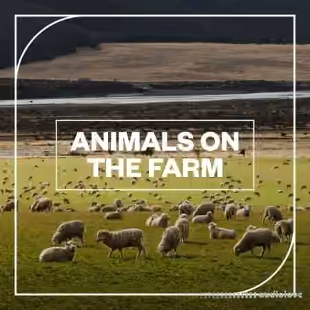 Blastwave FX Animals on the Farm [WAV]