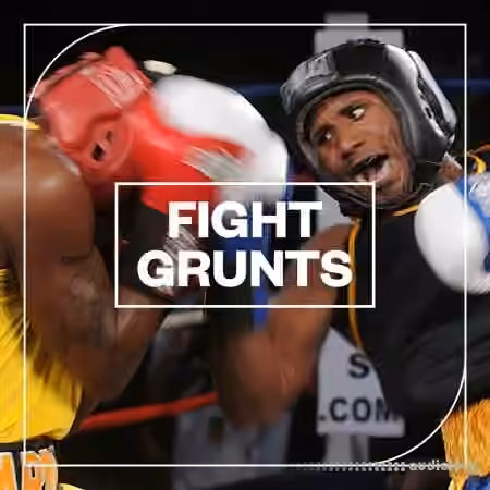 Blastwave FX Fight Grunts [WAV]