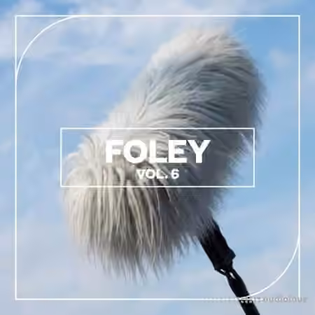 Blastwave FX Foley Vol. 6 [WAV]