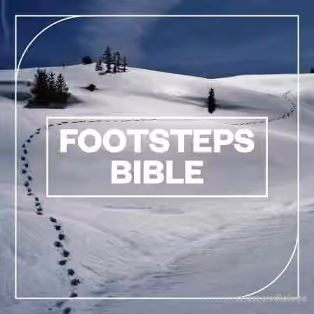 Blastwave FX Footsteps Bible [WAV]