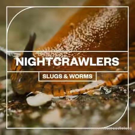 Blastwave FX Nightcrawlers: Slugs and Worms [WAV]
