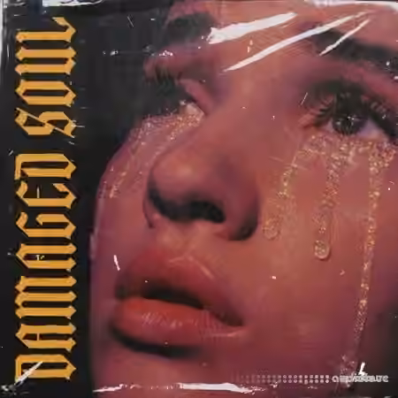 Blvckout Damaged Soul [WAV]