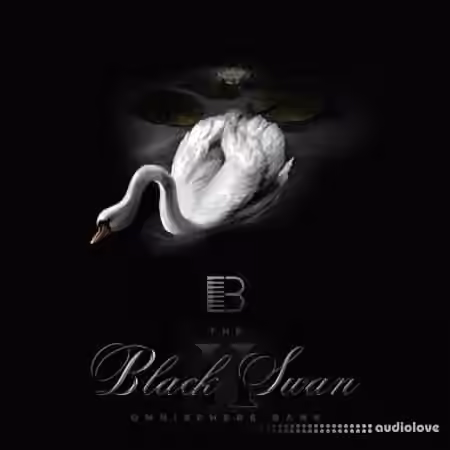 Brandon Chapa Black Swan ll [Synth Presets]