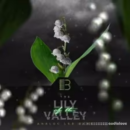 Brandon Chapa Lily Of The Valley (Analog Lab Bank) [Synth Presets]