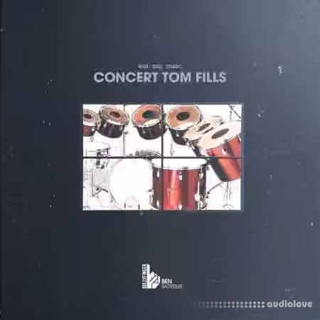 Bullyfinger Satterlee Concert Tom Fills [WAV]