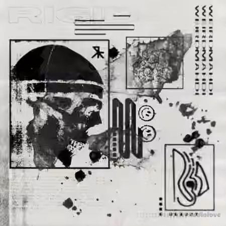 Cash Gang Weird Mahdi Rigid Sample Pack [WAV]
