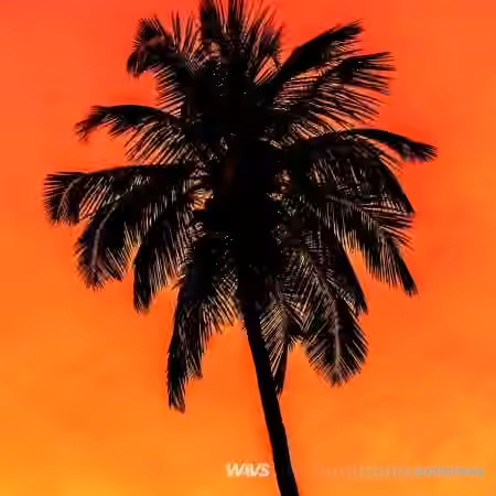 Claro Beats Caliente Vol.7 [WAV]