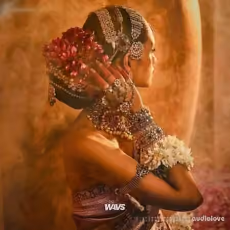 Claro Beats Indian Pop Hit [WAV]