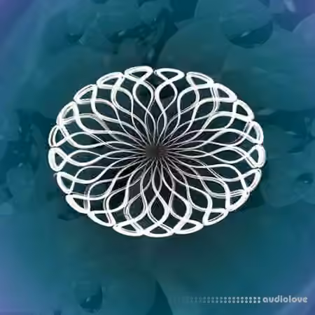 Coldcut MidiVolve v1.1 [Max for Live]
