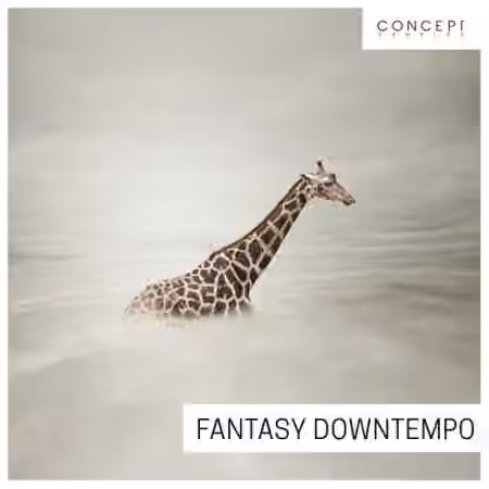Concept Samples Fantasy Downtempo [WAV]