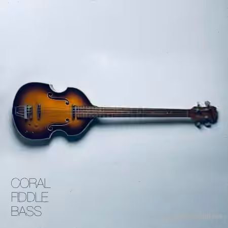 David Hilowitz Coral Fiddle Bass v1.0.1 [Synth Presets]