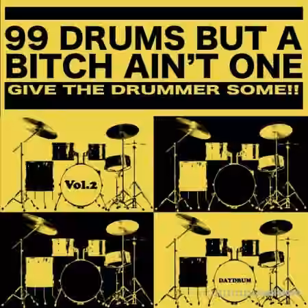 Daydrum 99 Drums But A Bitch Ain't One Vol.2 [WAV]