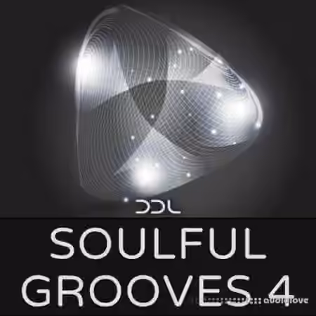 Deep Data Loops Soulful Grooves 4 [WAV, MiDi]