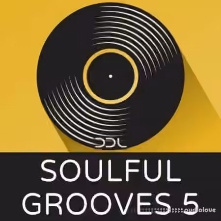Deep Data Loops Soulful Grooves 5 [WAV, MiDi]