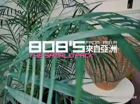 DELAY 808's from Asia The Sample Pack [WAV]