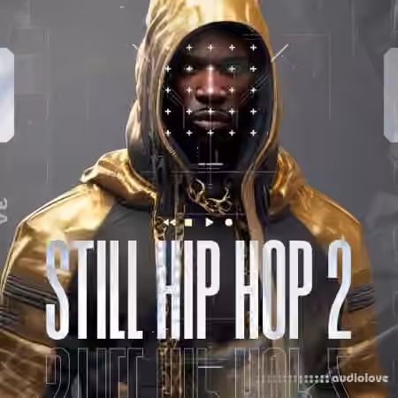 Diginoiz Still Hip Hop 2 [WAV]