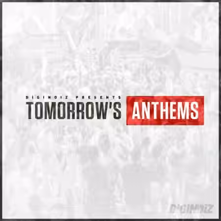 Diginoiz Tomorrows Anthems [Synth Presets]