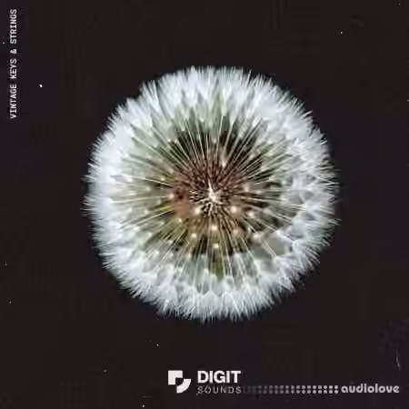 Digit Sounds Vintage Keys and Strings [WAV]