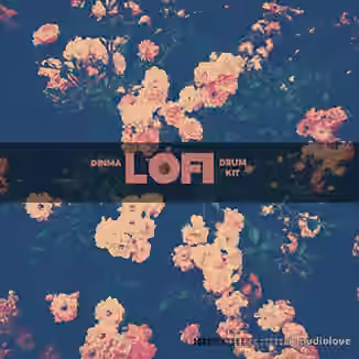 Dinma Beats Lo-Fi Drum Kit [WAV]