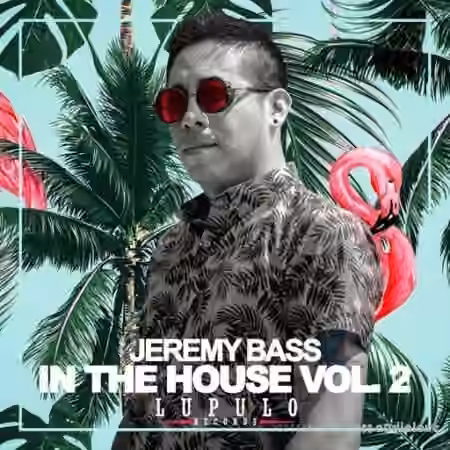 Dirty Music Jeremy Bass - In The House Vol. 2 [WAV]