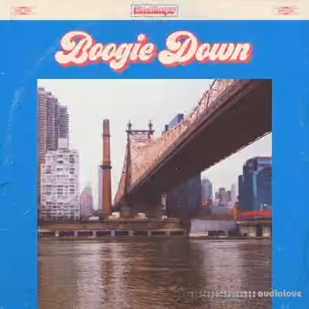 Discotheque Boogie Down [WAV]