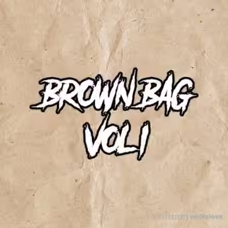 DiyMusicBiz Brown Bag Vol.1 [WAV]