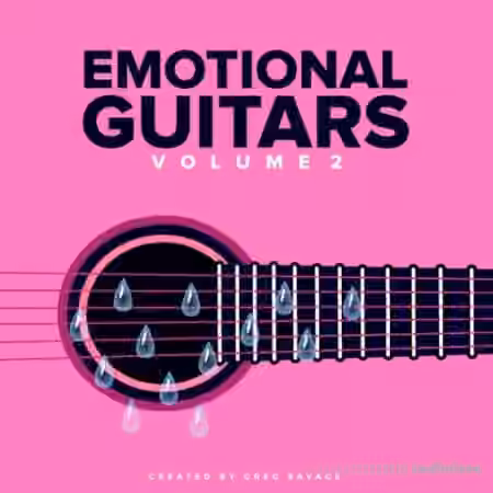 DiyMusicBiz Emotions Guitar SoundPack Vol.2 [WAV]