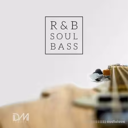 Dm Samples RnB Soul Bass [WAV]